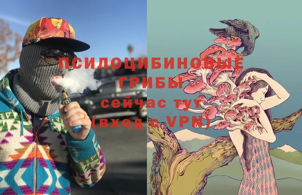 круглые Алзамай