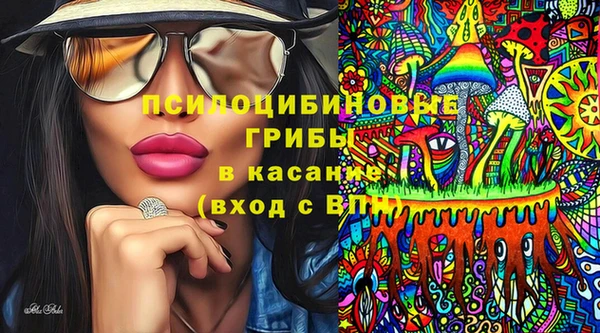 круглые Алзамай