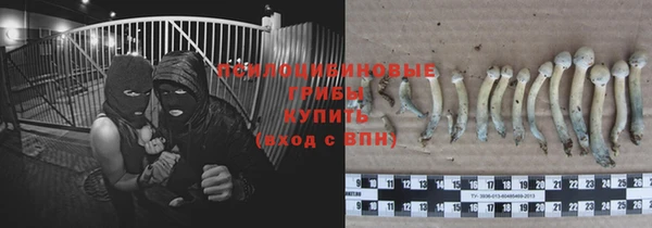 круглые Алзамай
