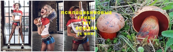 таблы Алексин