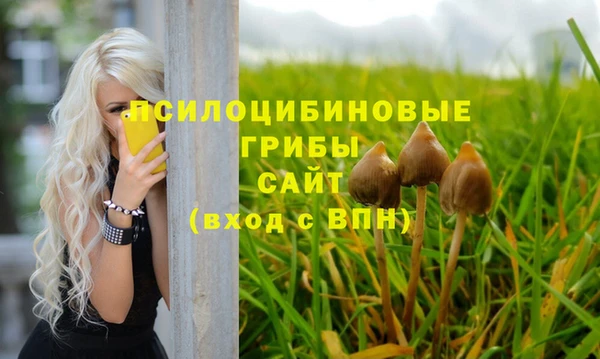 круглые Алзамай