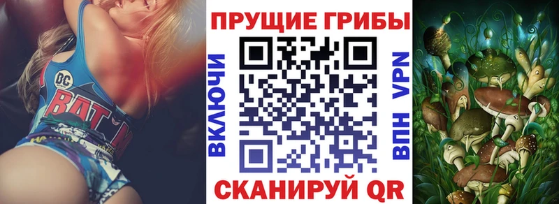 где купить наркоту  Изобильный  Галлюциногенные грибы Psilocybe 